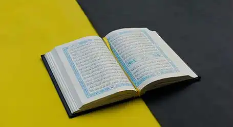 جریان عصمت و نفاق در قرآن